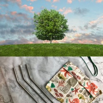 Tree with sky background with some eco-friendly kitchen tools beneath.