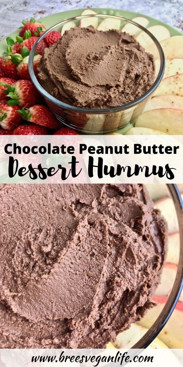 Chocolate Peanut Butter Dessert Hummus Bree's Vegan Life