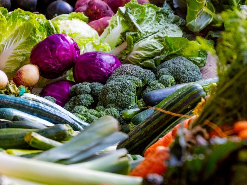 A variety of vegetables, including broccoli, red cabbage, leafy greens, and cucumbers.