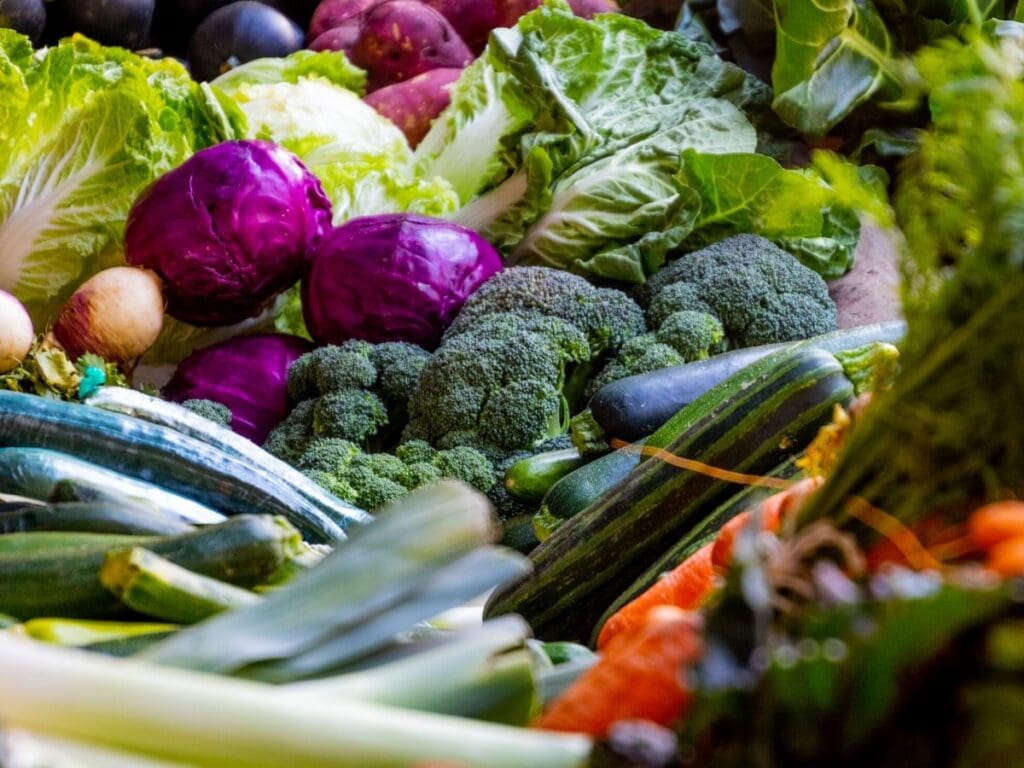 A variety of vegetables, including broccoli, red cabbage, leafy greens, and cucumbers. 