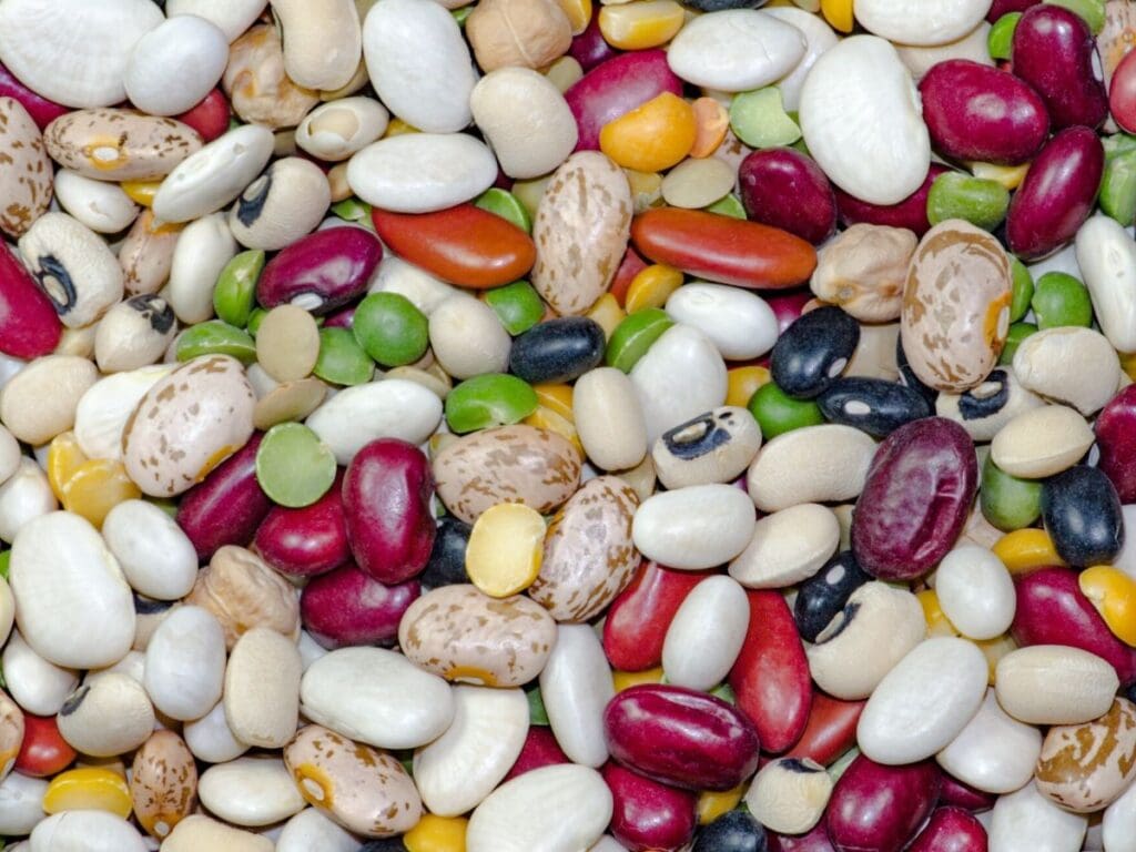 A variety of colourful beans.