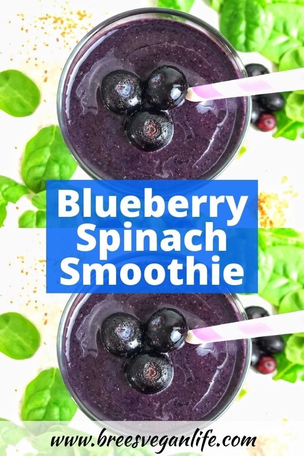 Blueberry Spinach Smoothie Bree's Vegan Life