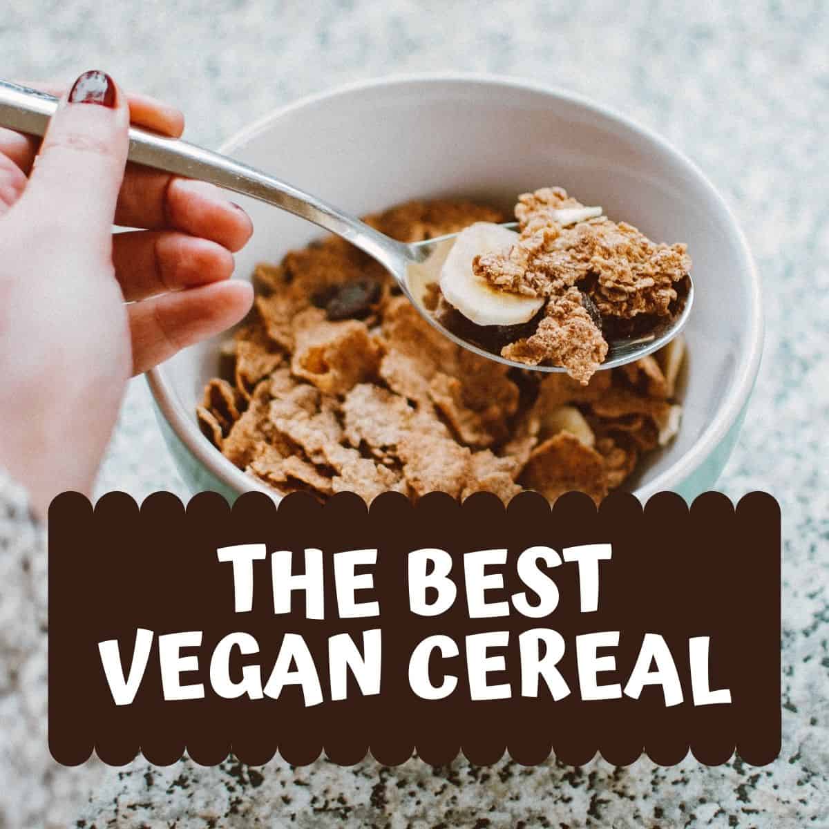 A spoonful over a bowl of cereal, with text that says, "The Best Vegan Cereal."