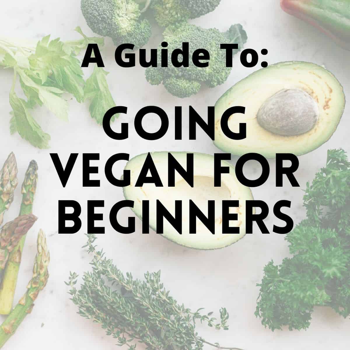 Vegan Food Guide, Veggie Planet