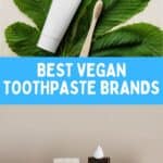Toothpaste and toothbrushes with text that says Best Vegan Toothpaste Brands.