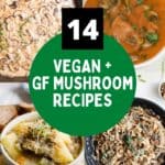 Four different vegan mushroom recipes, including pasta, soup, curry, and stroganoff.