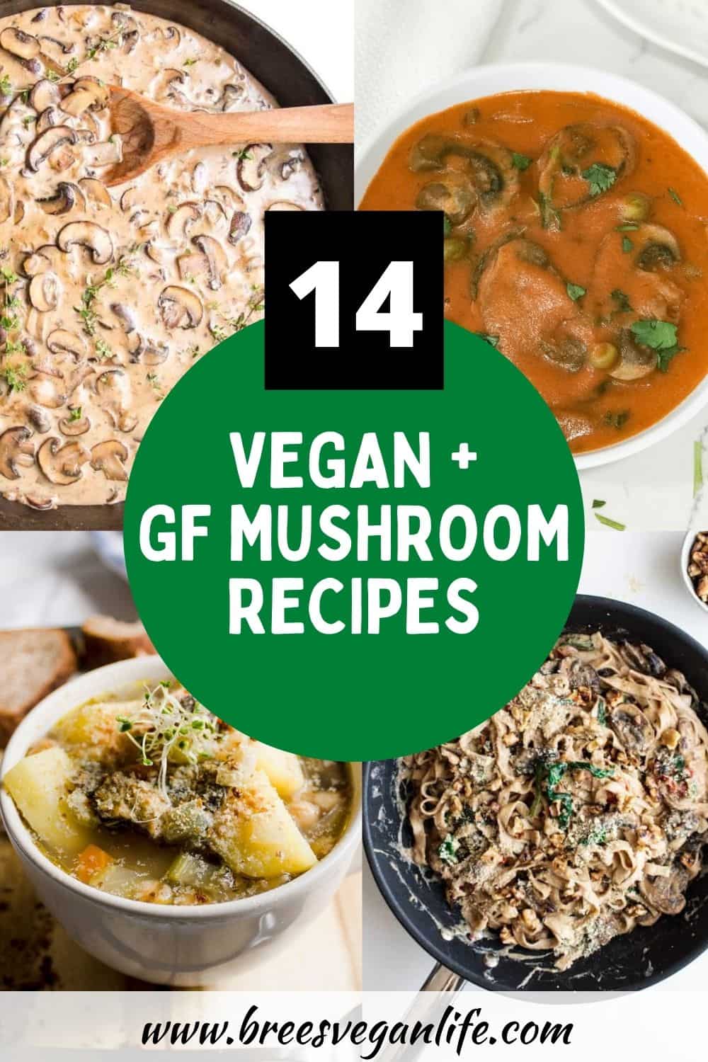 Four different vegan mushroom recipes, including pasta, soup, curry, and stroganoff.