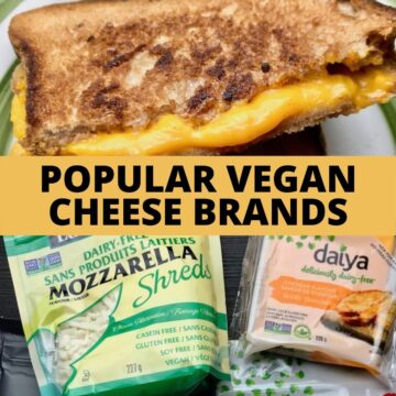 A vegan grilled cheese and two packages of vegan cheese.
