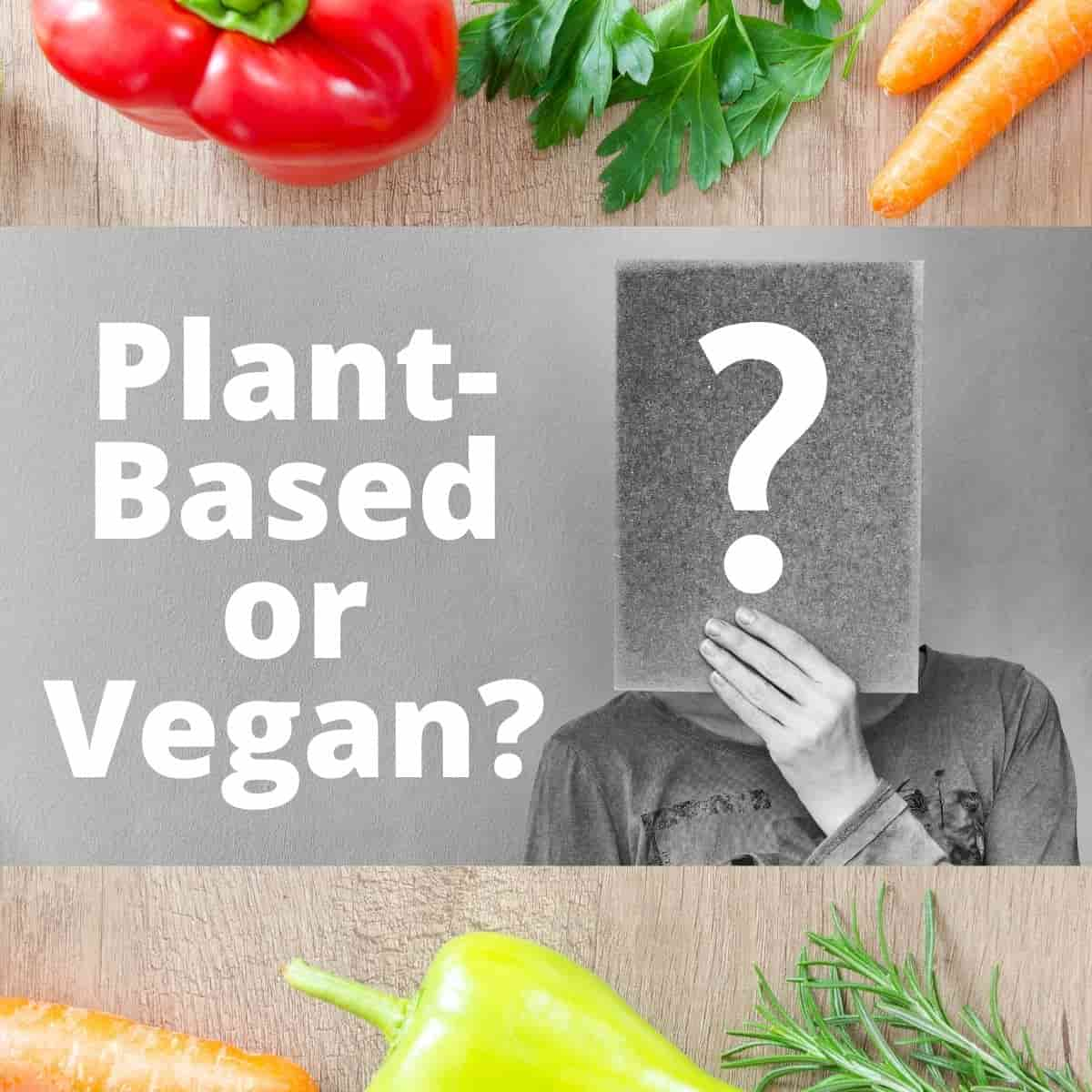 Text that says, "Plant-Based or Vegan?" next to someone holding up an exclamation point.