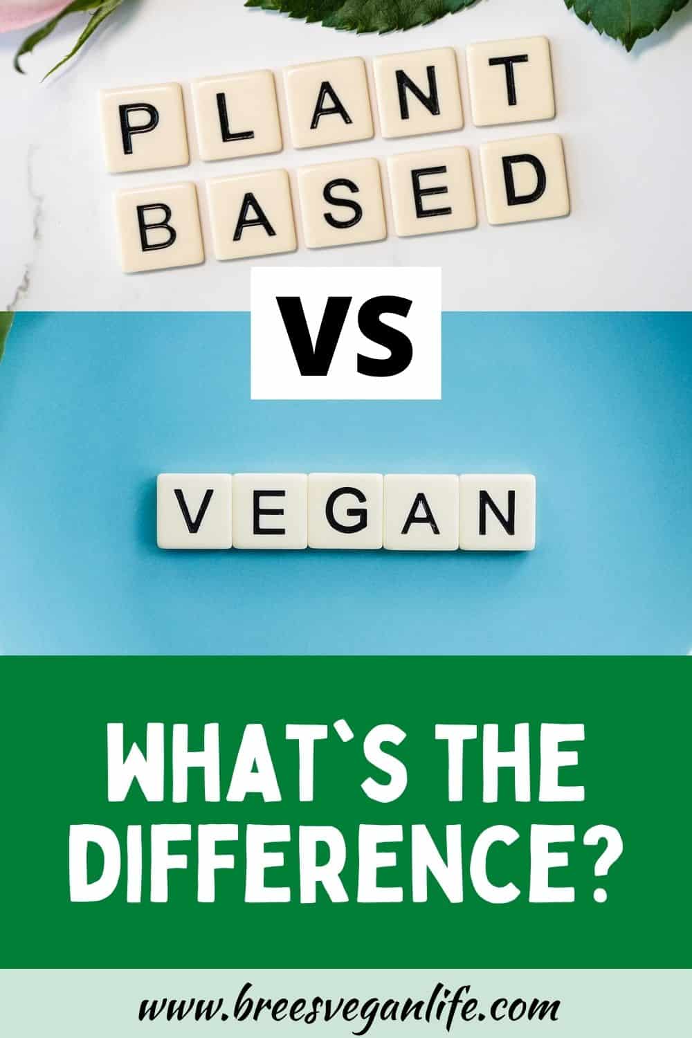 Vegan vs. Plant-Based: What Are The Differences? | Bree's Vegan Life