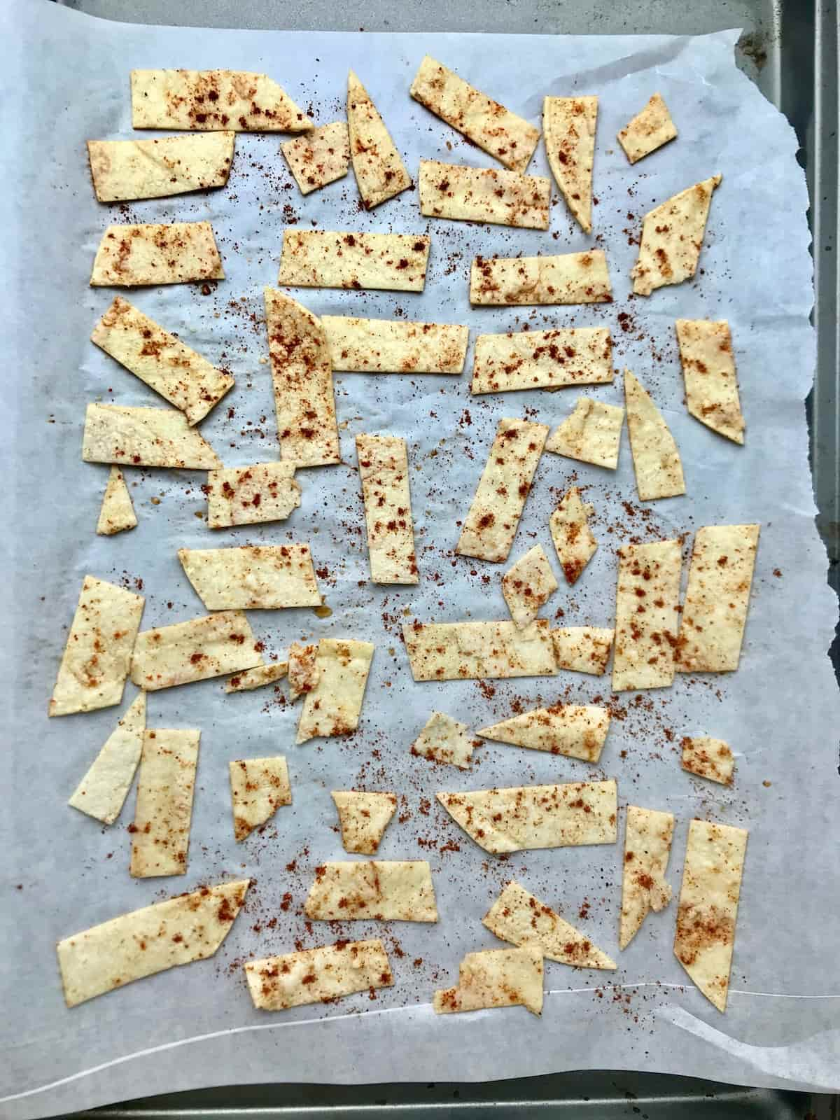 Tortilla strips with chili powder sprinkled on top.