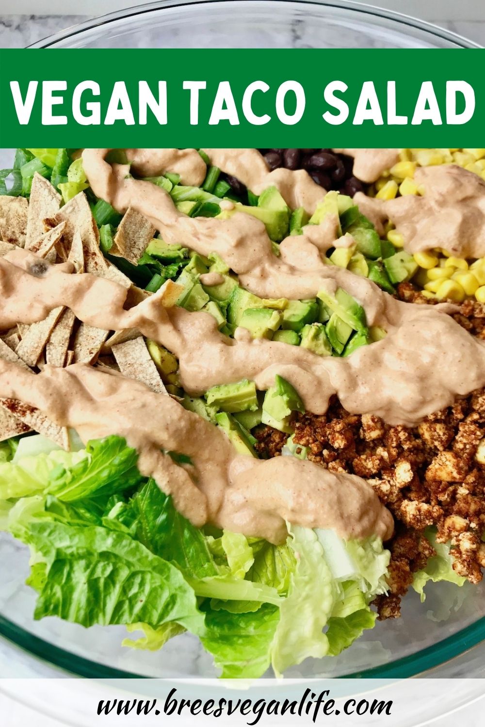 Vegan Taco Salad - Bree's Vegan Life