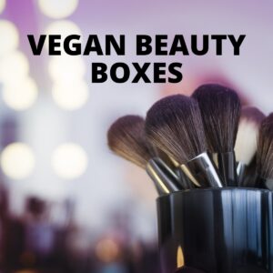 A cup of makeup brushes with text that says Vegan Beauty Boxes.