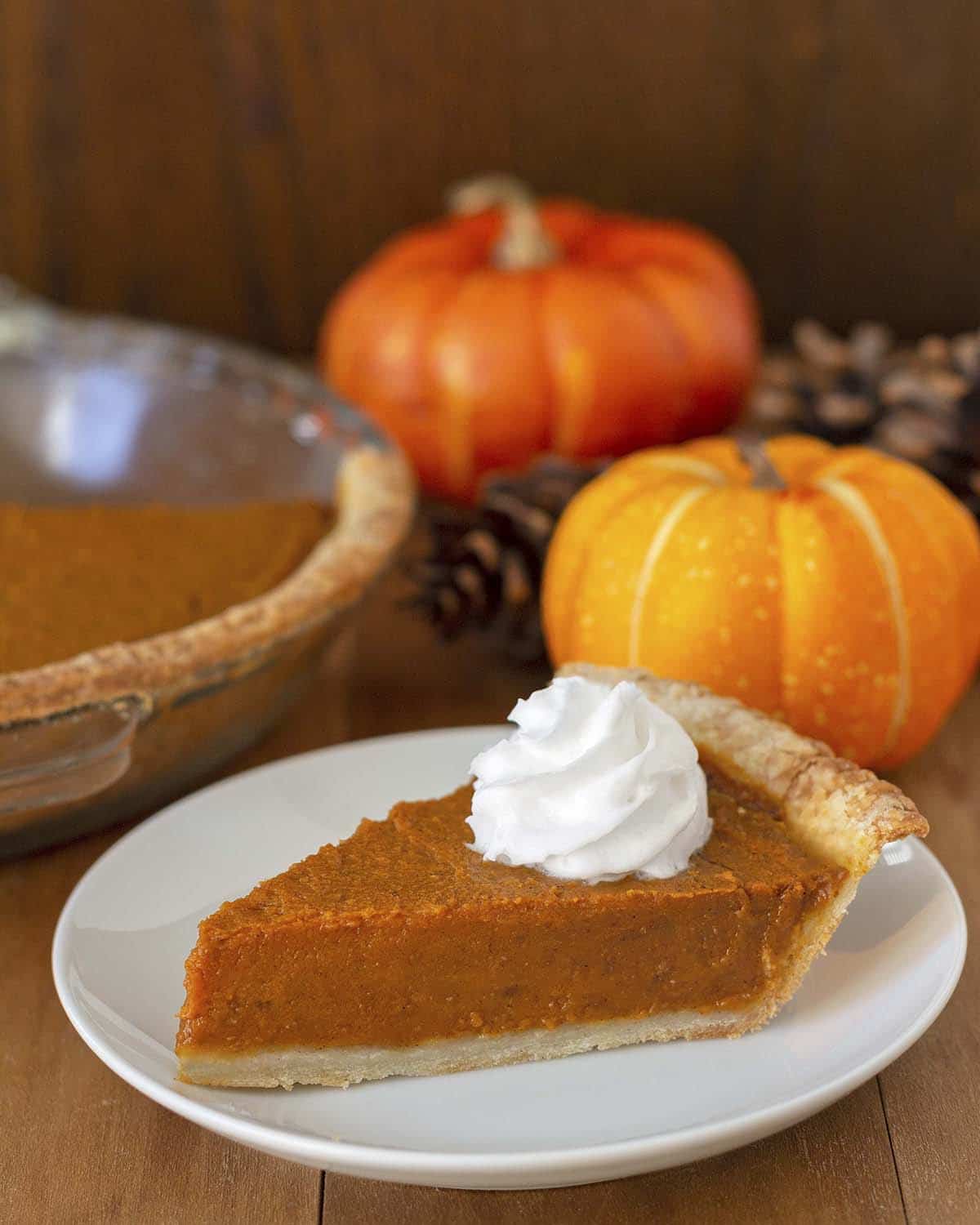 A slice of vegan pumpkin pie with two mini pumpkins in the background.