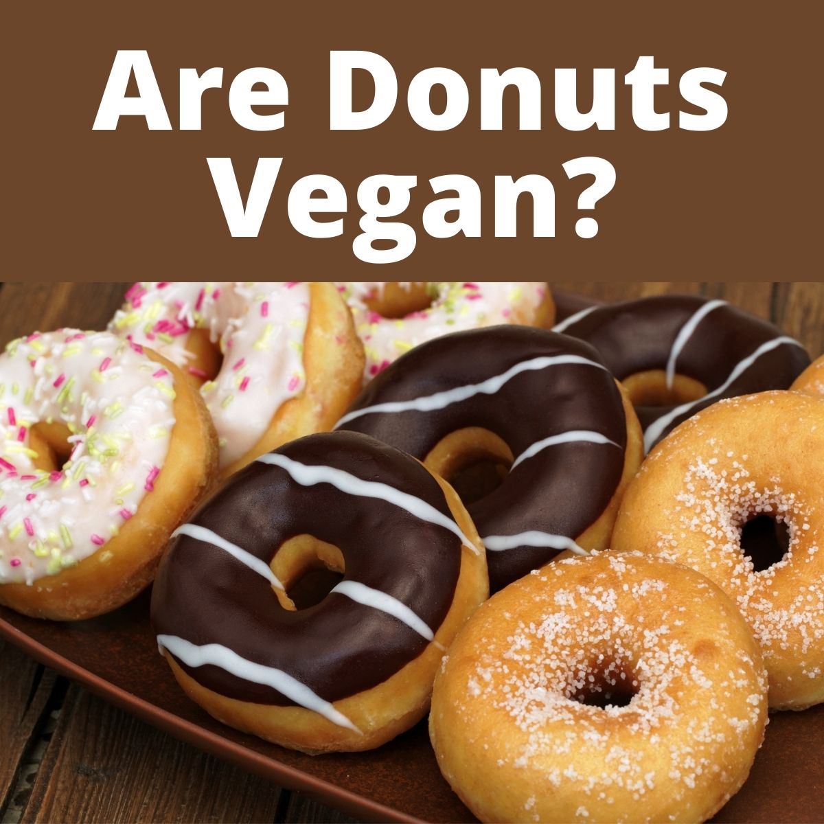 Rows of donuts with text that says Are Donuts Vegan?