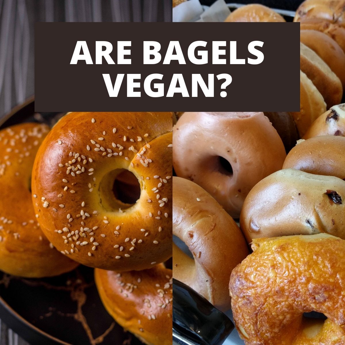 Many different bagels and text that says Are Bagels Vegan?