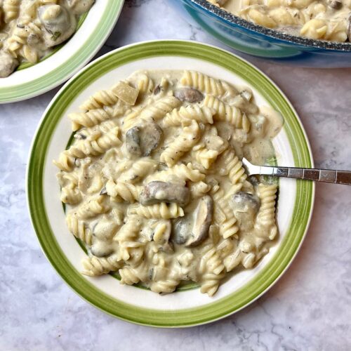 A plate of vegan mushroom stroganoff with fusilli pasta with a fork in it.